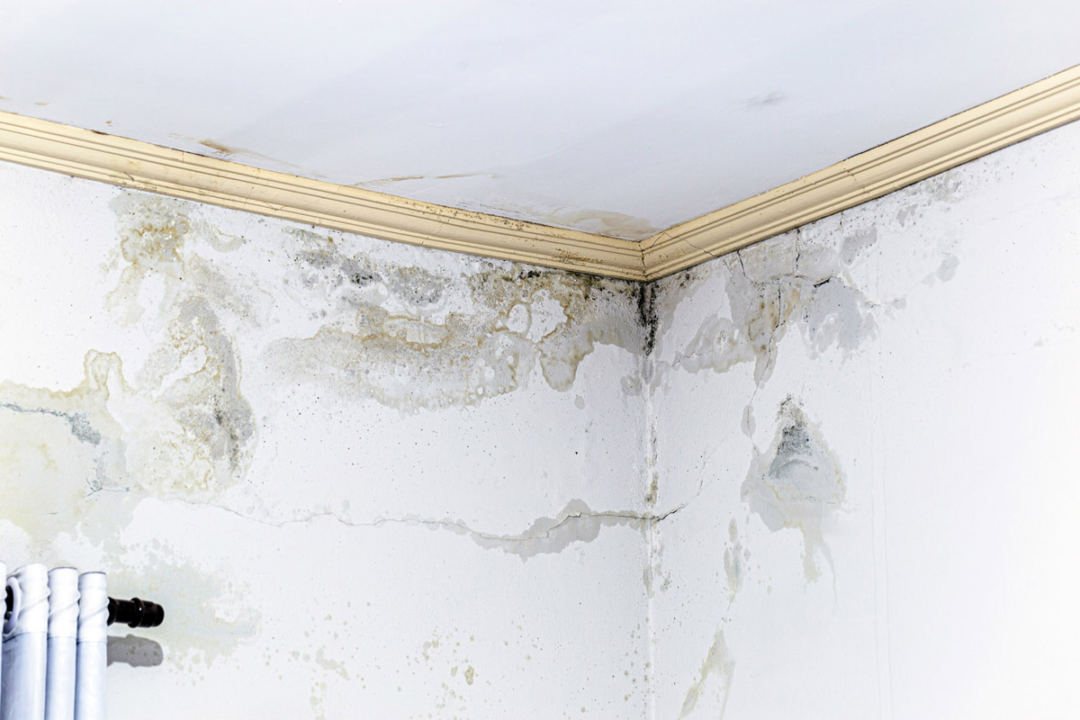 Wall,Damp,From,Excessive,Rain,,Problems,Of,Infiltration,And,Mold